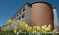 私立中学校情報 【桜美林中学校...