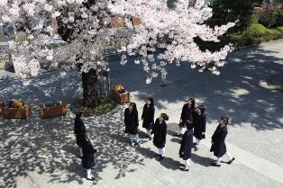 ☆私立中学校情報 【桐朋女子学...