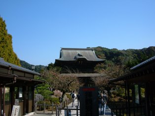 ★私立中学校情報 【鎌倉学園中...