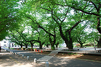 ☆国立大学情報 【東京工業大学...