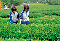 ☆中学受験 / 私立中学校情報...