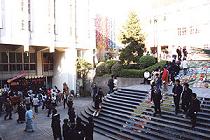 ☆中学受験 / 私立中学校情報...