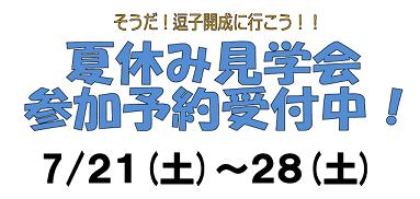 ☆中学受験 / 私立中学校情報...