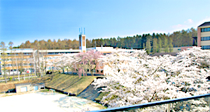 ☆大学受験 / 私立大学情報 ...