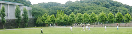 ＜栄光学園中学校 グランド＞