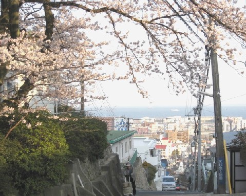 ＜桜・坂道・港町＞