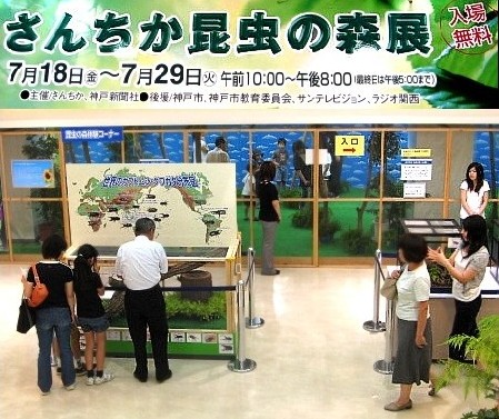 気になる【さんちか昆虫の森展】...
