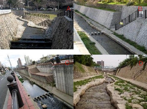 神戸市内の親水公園