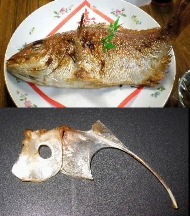 鯛の鯛