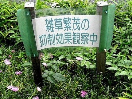 ＜植え込み＞