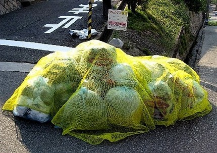 ＜ゴミ当番制＞