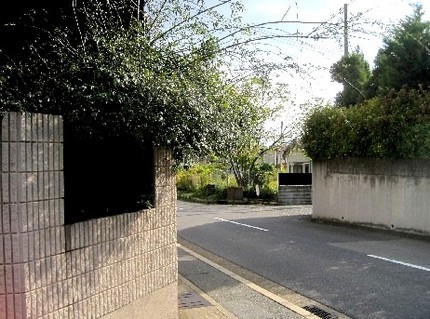 ＜萩の植え込み＞