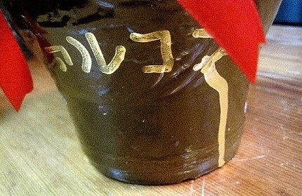 ファルコンの＜外食分析＞（２）...