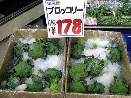 ＜氷漬けのブロッコリー＞