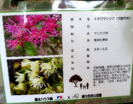 助かります＜植物の名札＞...