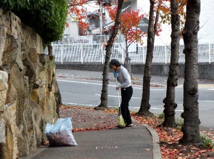 ご苦労様です＜街路樹の落ち葉掃...