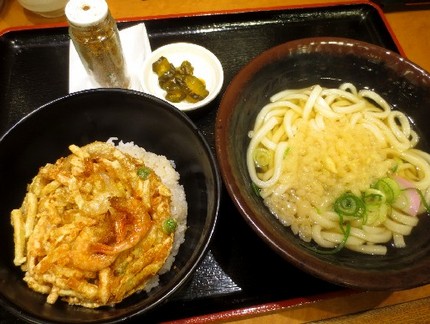 選べる３種の丼ぶりとかけうどん...