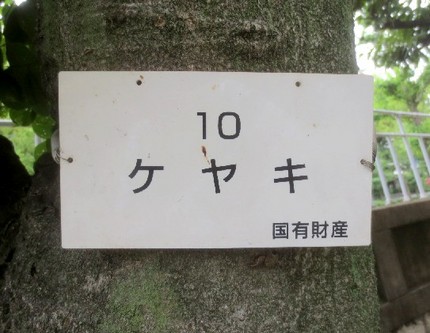 国有財産とは知りませんでした＜...