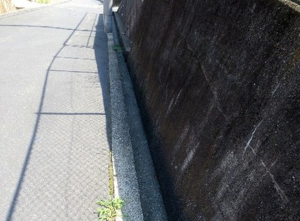 ファルコン植物記（９０６）ど根...