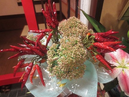 ファルコン植物記（９３５）唐辛...