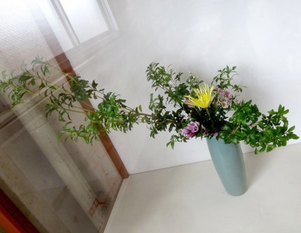 ＜生け花＞（４８）【嵯峨御流】...