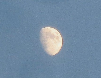 正午月齢＜９．１＞＠神戸市（緯...