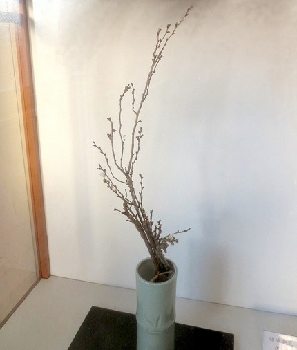 ＜生け花＞（５４）【嵯峨御流】...