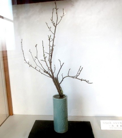 ＜生け花＞（６９）【嵯峨御流】...