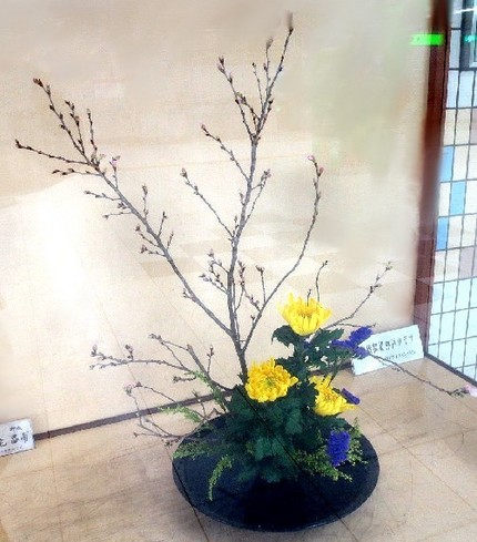 ＜生け花＞（７４）【嵯峨御流】...