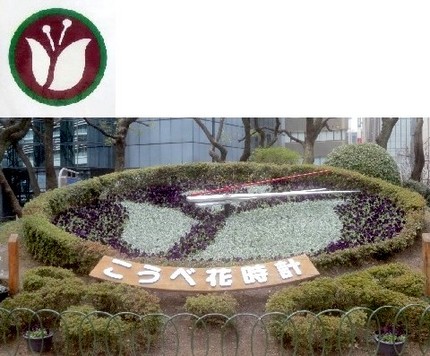 神戸花時計（４４）【チューリッ...