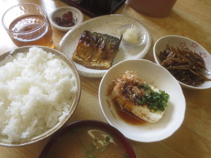 塩鯖・冷奴・きんぴらごぼう＠【...