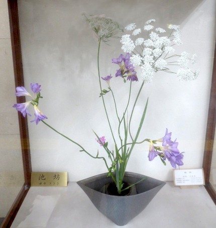 ＜生け花＞（８３）【池坊】＠阪...