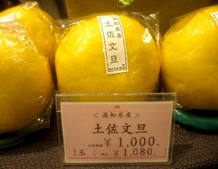 ＜果物＞（３）【土佐文旦】＠そ...