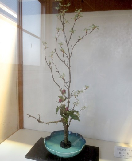 ＜生け花＞（９５）【嵯峨御流】...