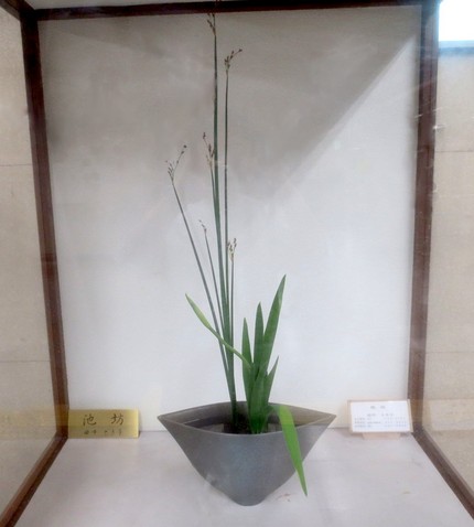 ＜生け花＞（９９）【池坊】＠阪...