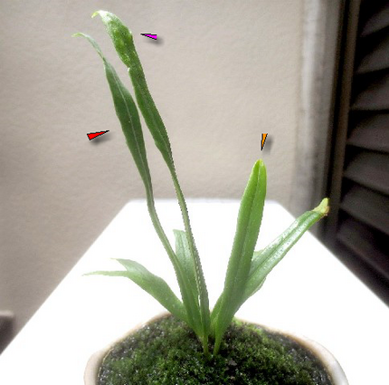 ＜　２０１４年５月３１日　＞