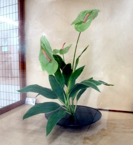 ＜生け花＞（１１６）【嵯峨御流...