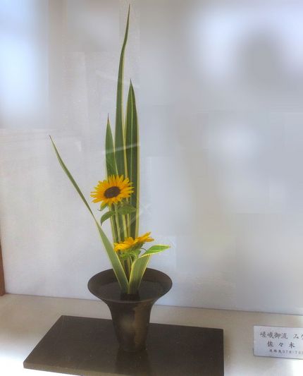 ＜生け花＞（１１９）【嵯峨御流...