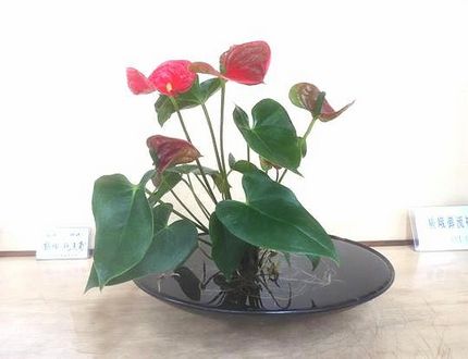 ＜生け花＞（１２１）【嵯峨御流...