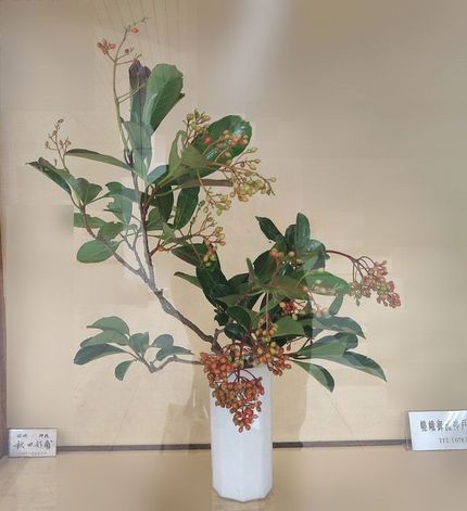 ＜生け花＞（１２５）【嵯峨御流...
