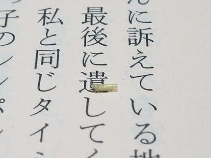 ファルコン昆虫記（４９９）活字...