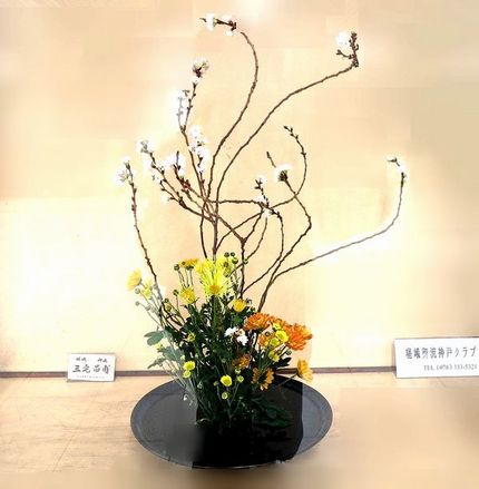 ＜生け花＞（１８２）【嵯峨御流...