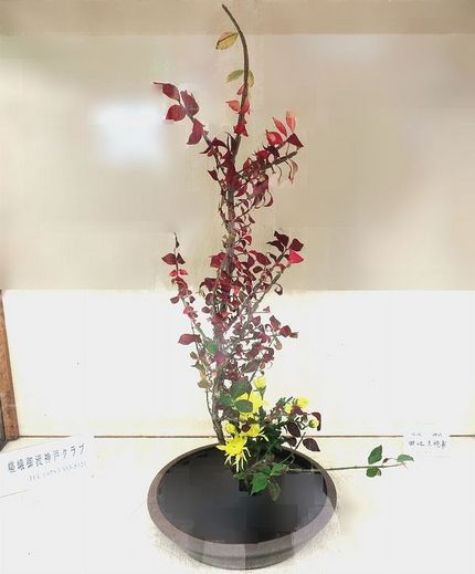 ＜生け花＞（１８８）【嵯峨御流...