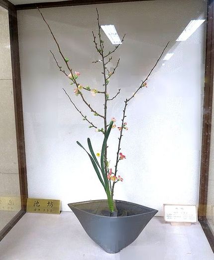 ＜生け花＞（１８９）【池坊】＠...
