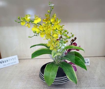 ＜生け花＞（２００）【嵯峨御流...
