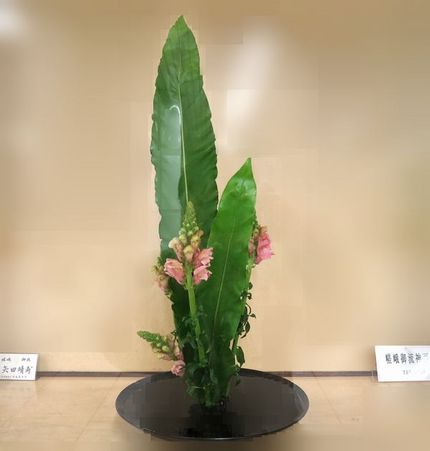 ＜生け花＞（２１４）【嵯峨御流...