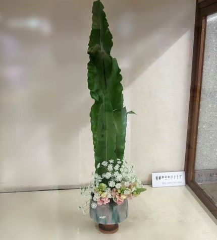 ＜生け花＞（２１７）【嵯峨御流...