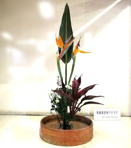 ＜生け花＞（２２２）【嵯峨御流...