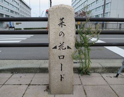 神戸ご当地（２４１）【菜の花ロ...