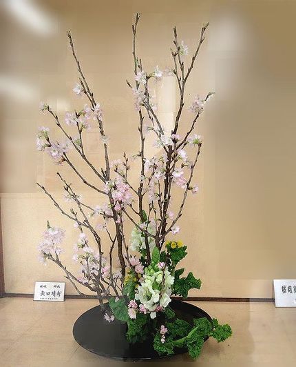 ＜生け花＞（２２９）【嵯峨御流...